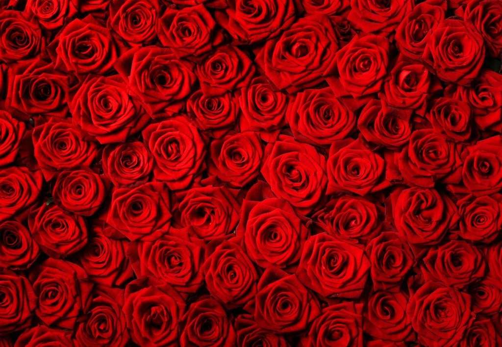 röda rosor pussel på nätet