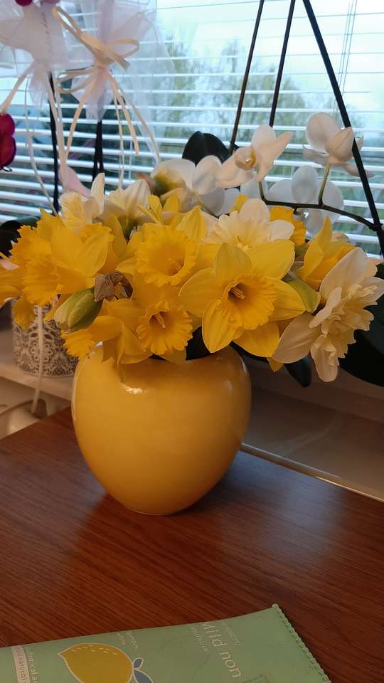 Jarní květiny - narcisy online puzzle