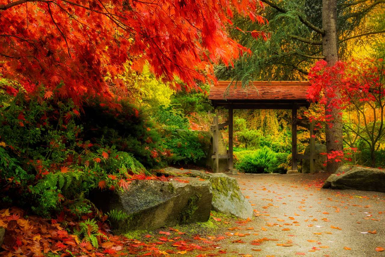 Herbst im japanischen Garten Online-Puzzle
