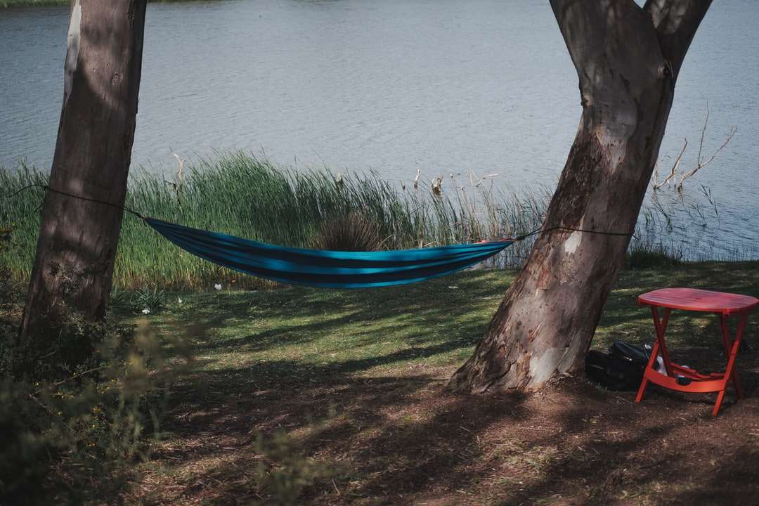 Blaue Hängematte hing auf Baumstamm in der Nähe von Wasser des Wassers Online-Puzzle