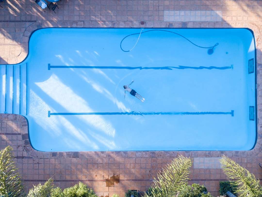 Planta verde ao lado da piscina quebra-cabeças online
