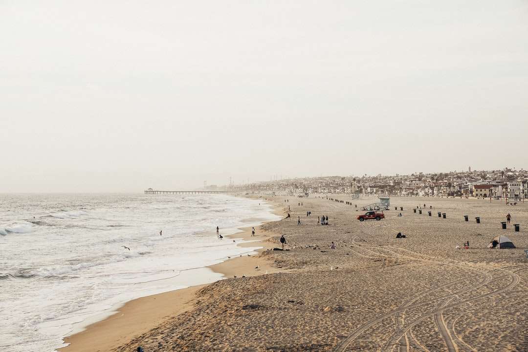 lidé na pláži během dne skládačky online