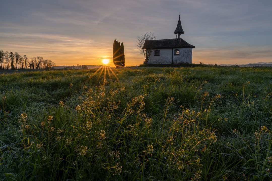 Maison blanche et noire sur le champ d'herbe verte pendant le coucher du soleil puzzle en ligne