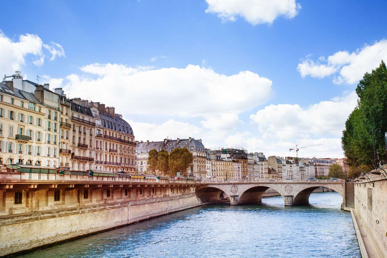 Bro i Paris pussel på nätet