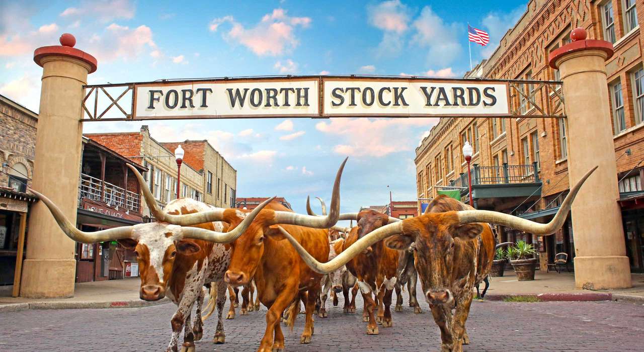 Texas Fort Worth. Puzzlespiel online