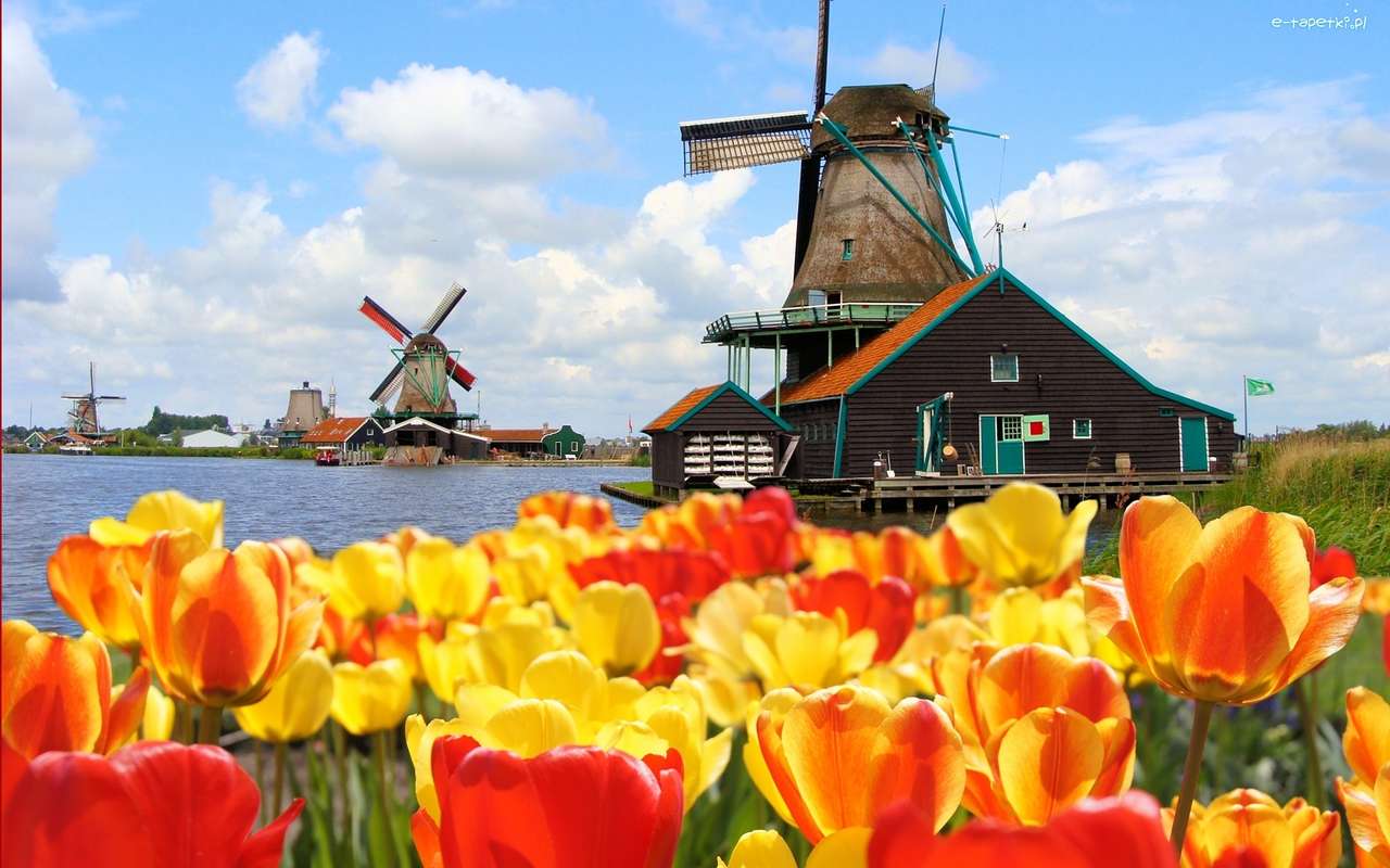 Frühling - Windmühlen, Küste Puzzlespiel online