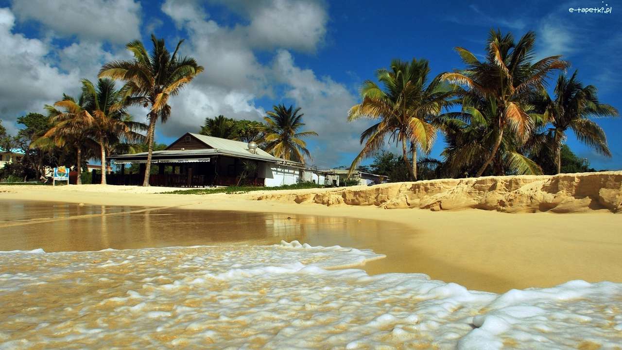 Тропічний пляж онлайн пазл