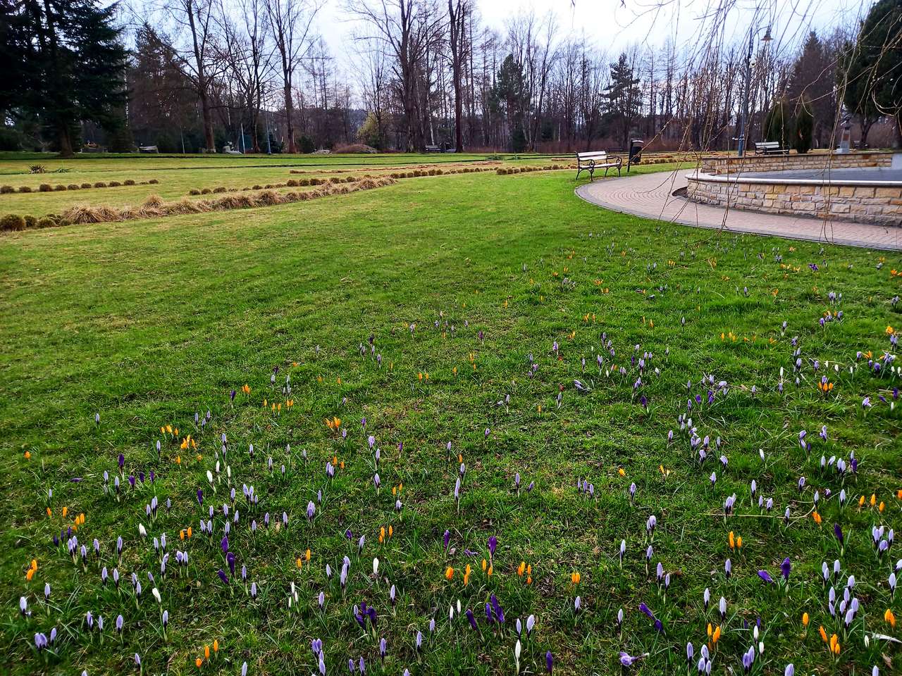 Květiny v parku skládačky online