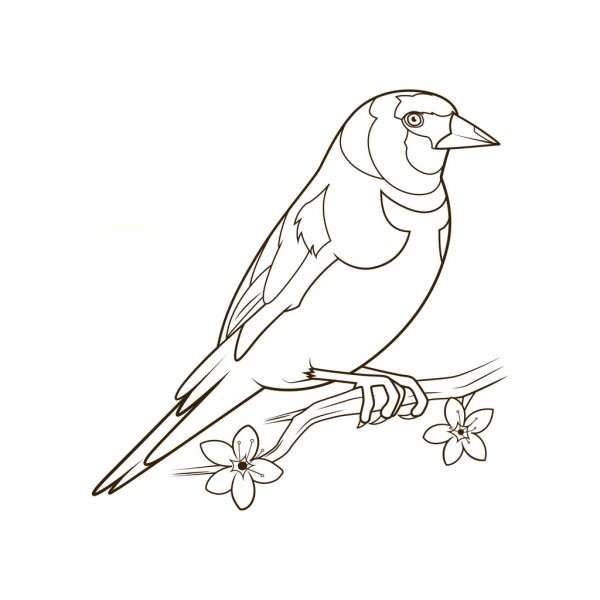 Щегол рисованной птицы акварель цветные карандаши | Премиум векторы