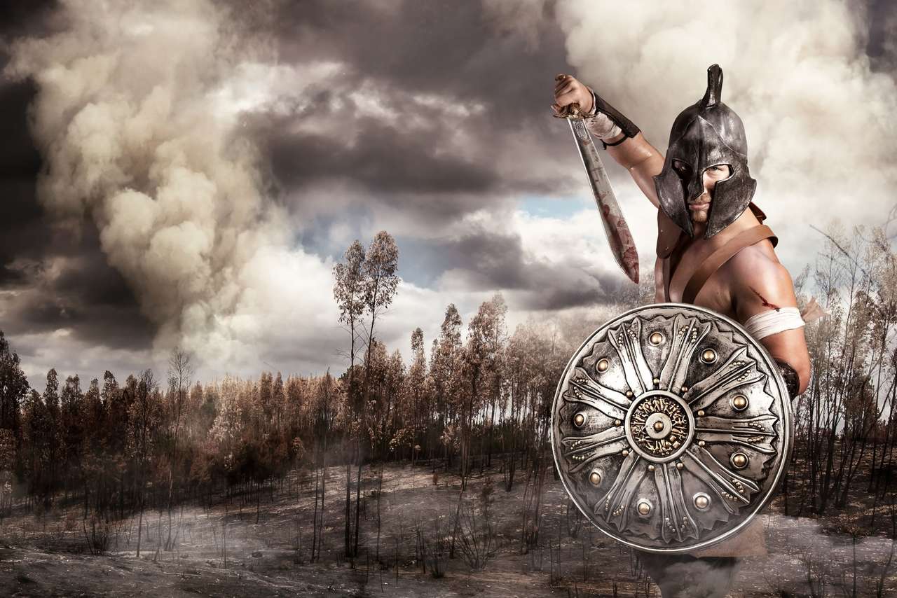 Gladiator în bătălie puzzle online