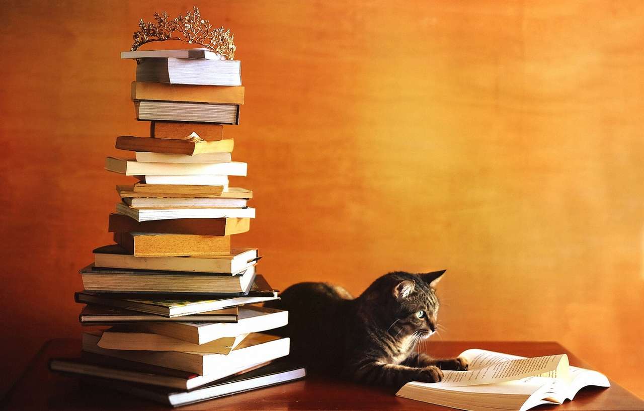 Leitor de gato. quebra-cabeças online