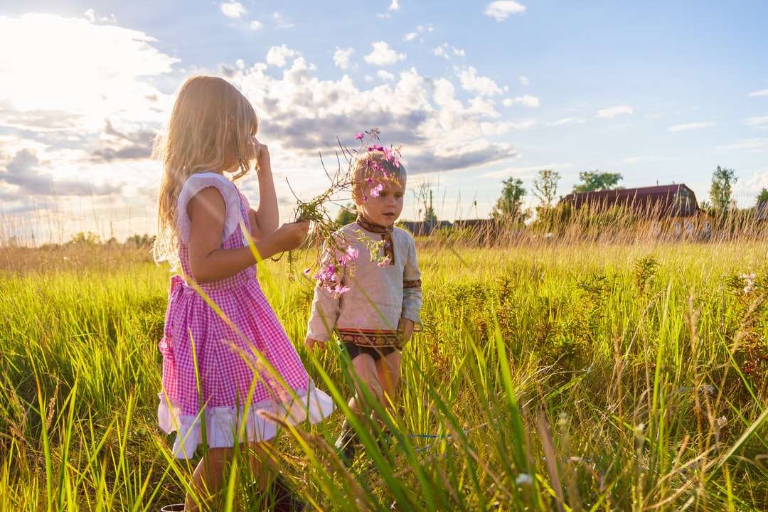 Lány rózsaszín és fehér ruhában állt a zöld fű mező kirakós online