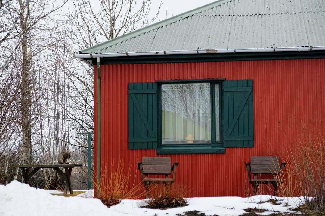 Casa de madera roja y blanca en suelo cubierto de nieve. rompecabezas en línea