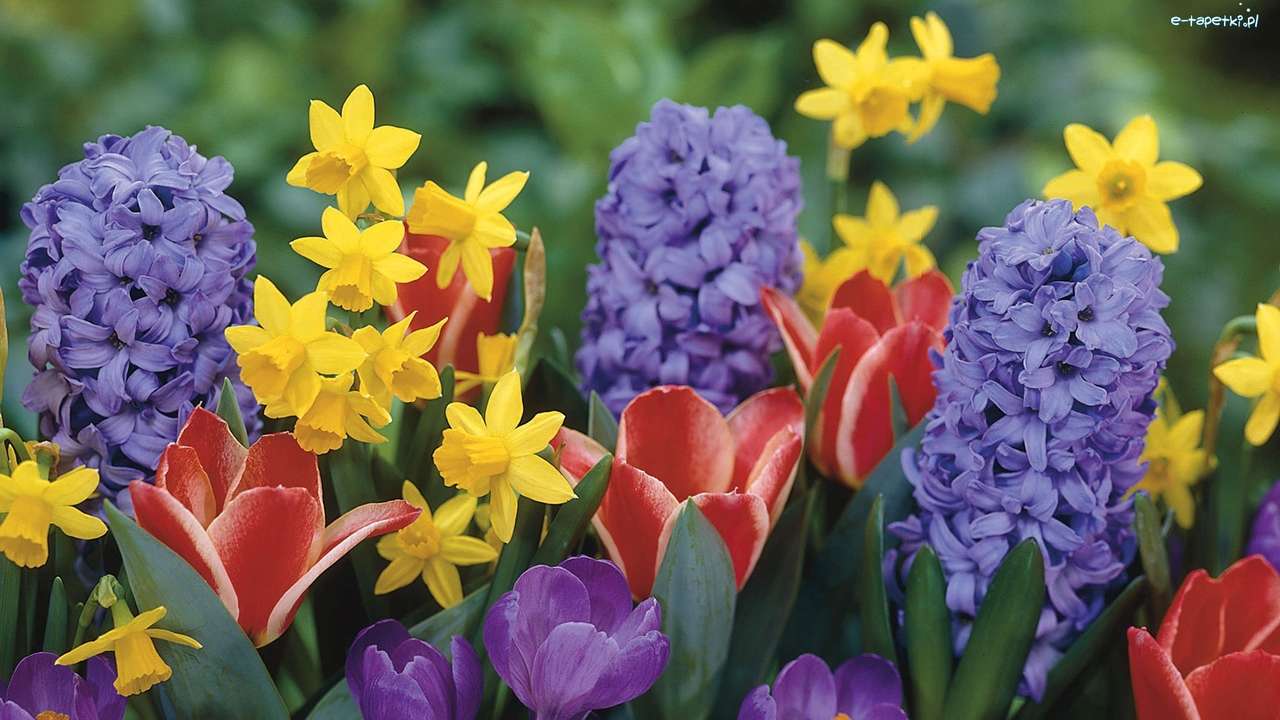 Spring flowers online puzzle