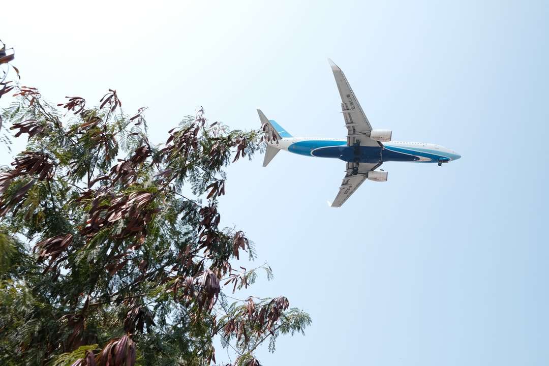 бело-голубой самолет летит над зелеными деревьями пазл онлайн