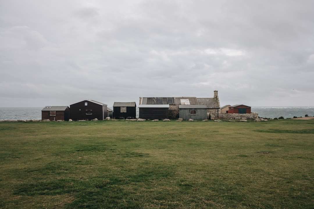 Casa de hormigón blanco y marrón en campo de hierba verde rompecabezas en línea