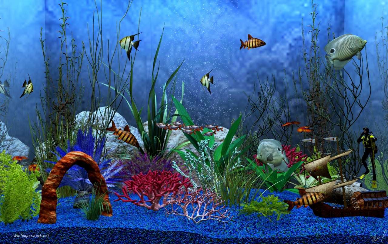 Aquarium von tropischen Fischen Puzzlespiel online