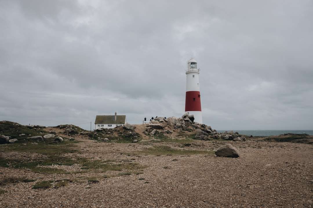 біло-червоний маяк на коричневому піску біля водойми онлайн пазл