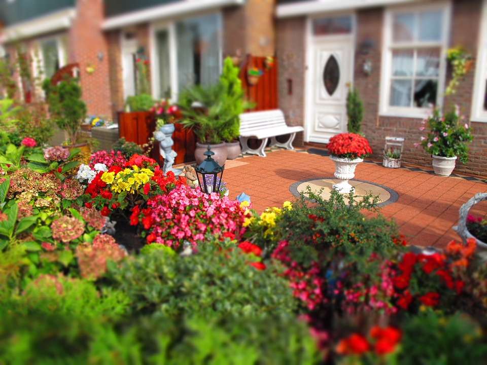 Flores frente a la casa en los Países Bajos. rompecabezas en línea