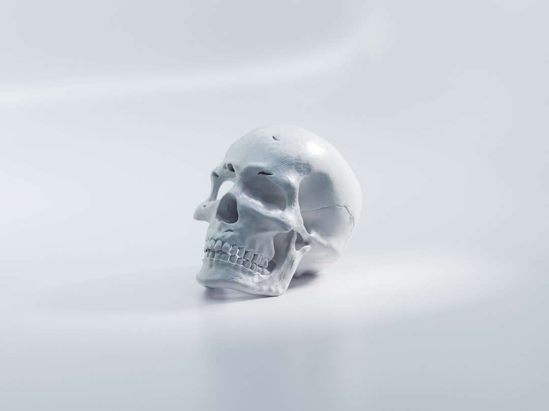 Cranio bianco sulla superficie bianca puzzle online