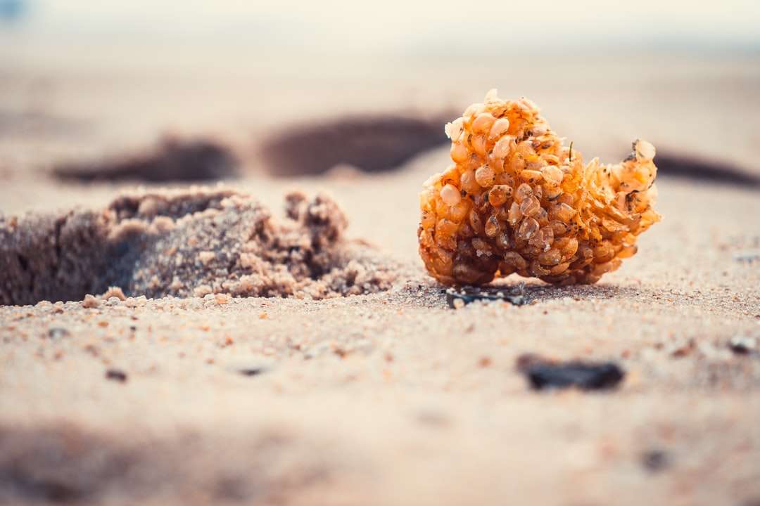 barna és fehér kövek fehér homokon nappal kirakós online