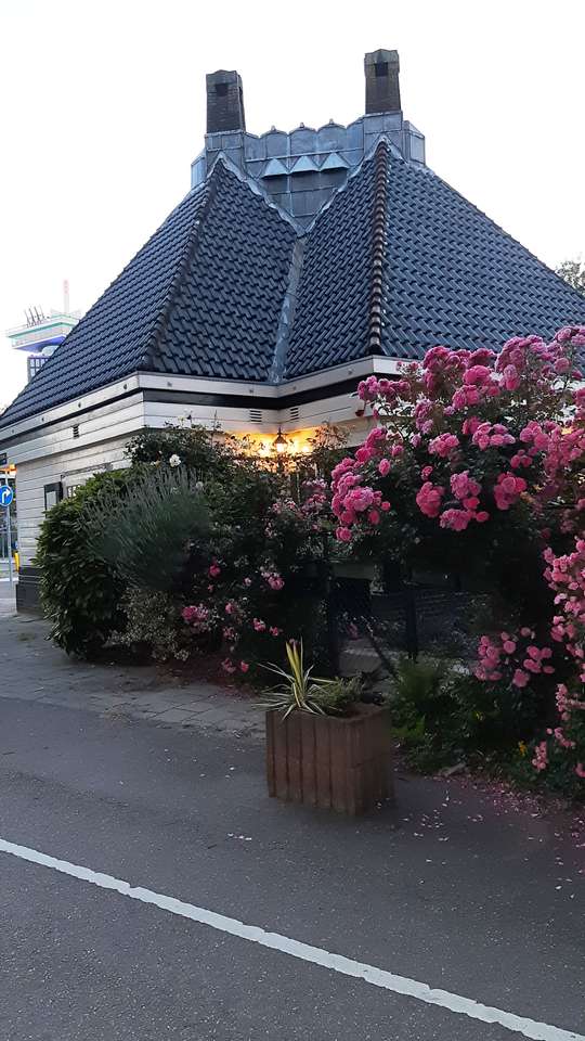 Casa in fiore ad Amsterdam puzzle online