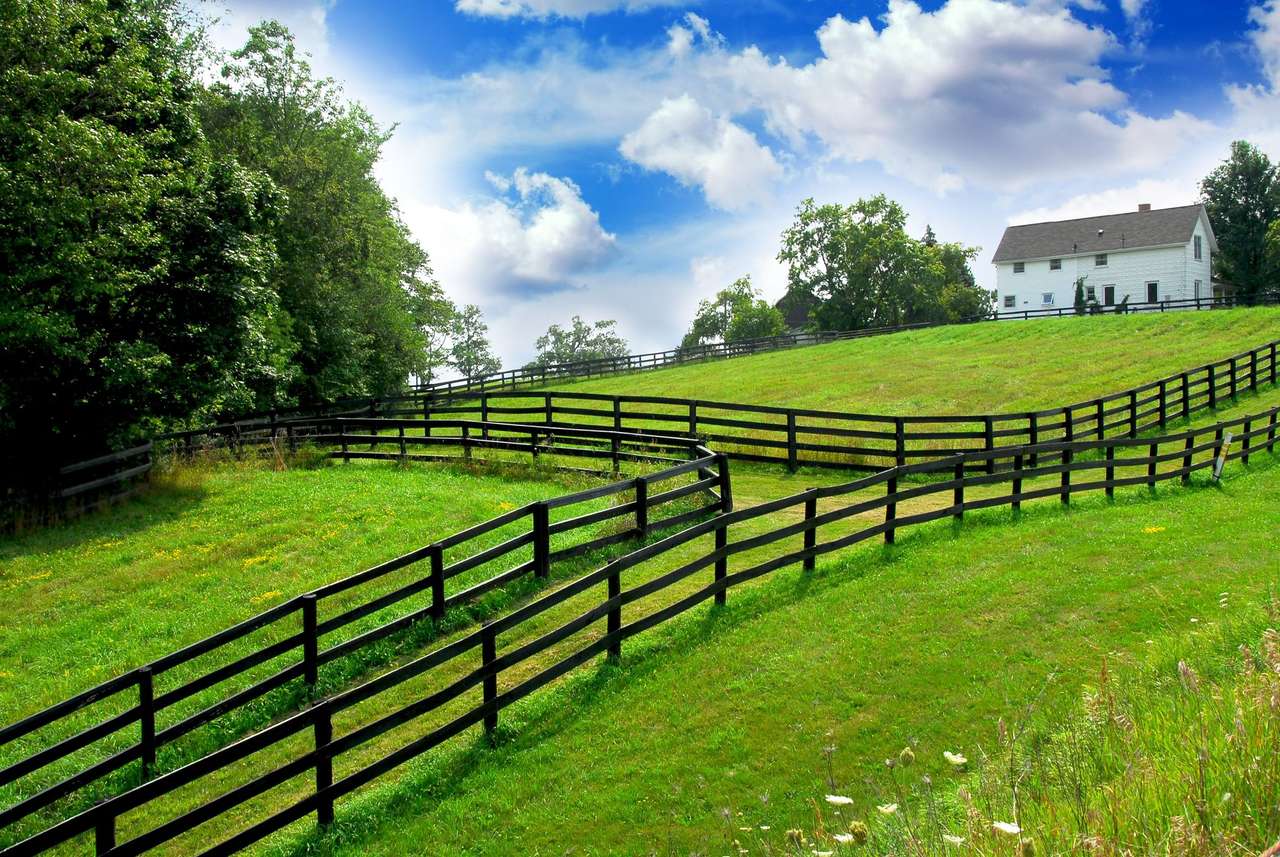 Grönt gräs och brunt staket pussel på nätet