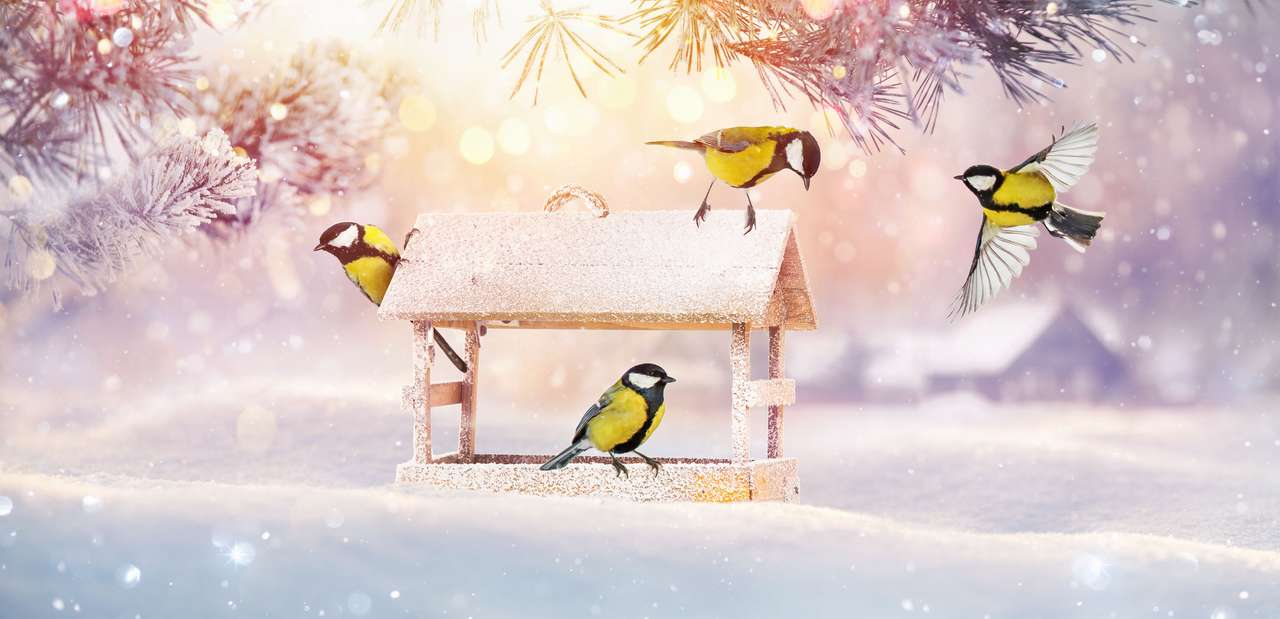 зимние птицы онлайн-пазл