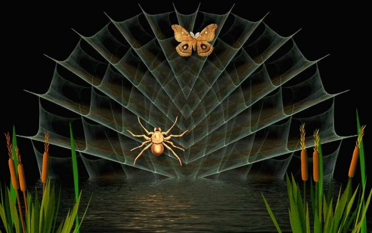 Fauna salvaje: Insectos rompecabezas en línea