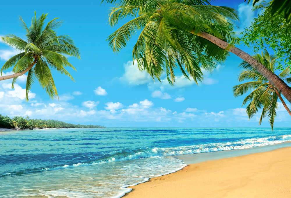Pláž na Havaji. skládačky online