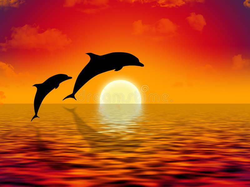 Delfiner som Kolymban vid solnedgången pussel på nätet
