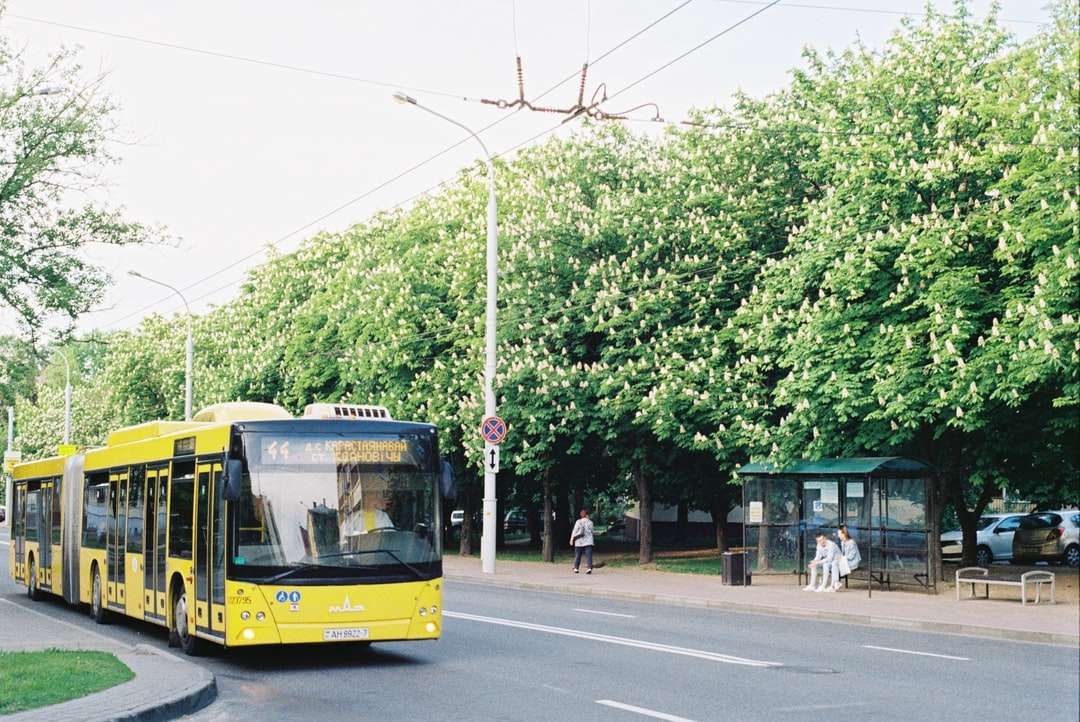 жовтий автобус на дорозі вдень онлайн пазл