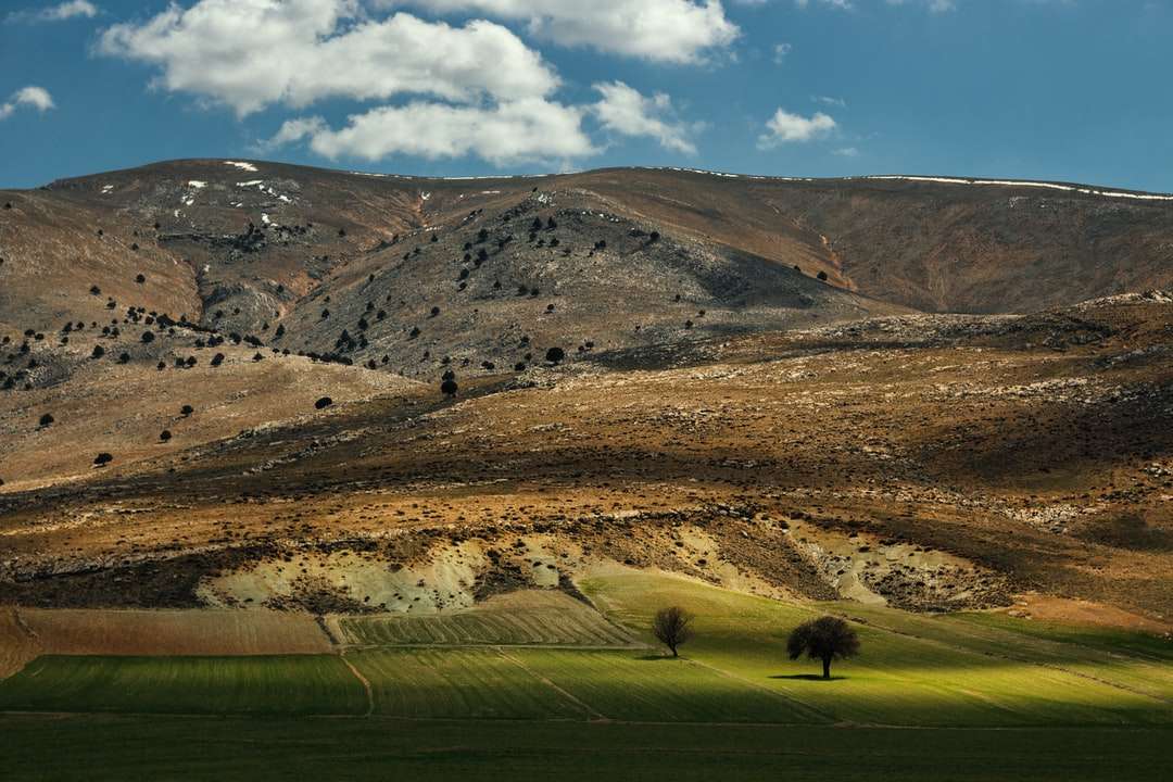 Зелено тревно поле близо до кафяви планини под синьо небе онлайн пъзел