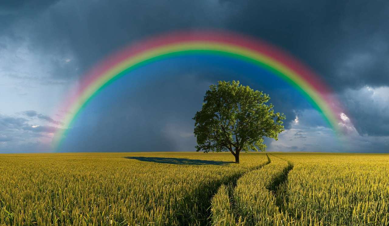 Un hermoso arco iris y un hermoso campo con un árbol. rompecabezas en línea