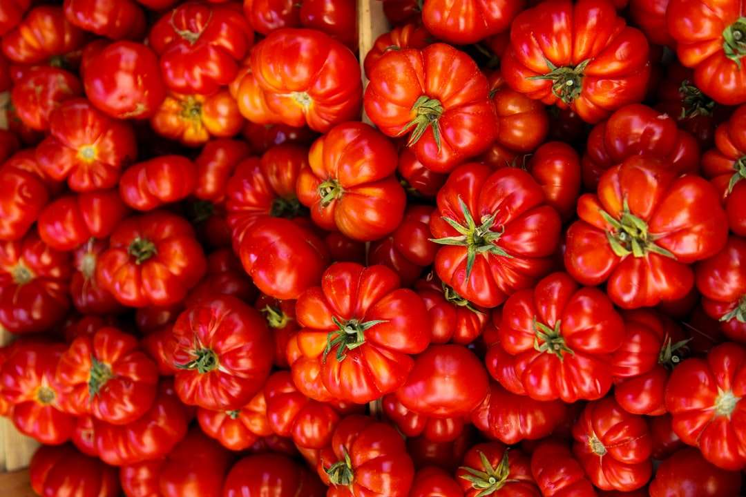 Röd tomat mycket i lådan Pussel online