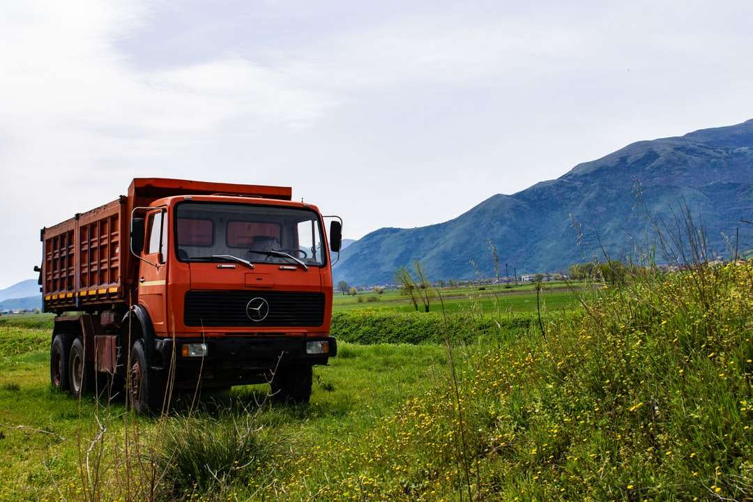 Piros teherautó zöld fű mezőben nappali online puzzle