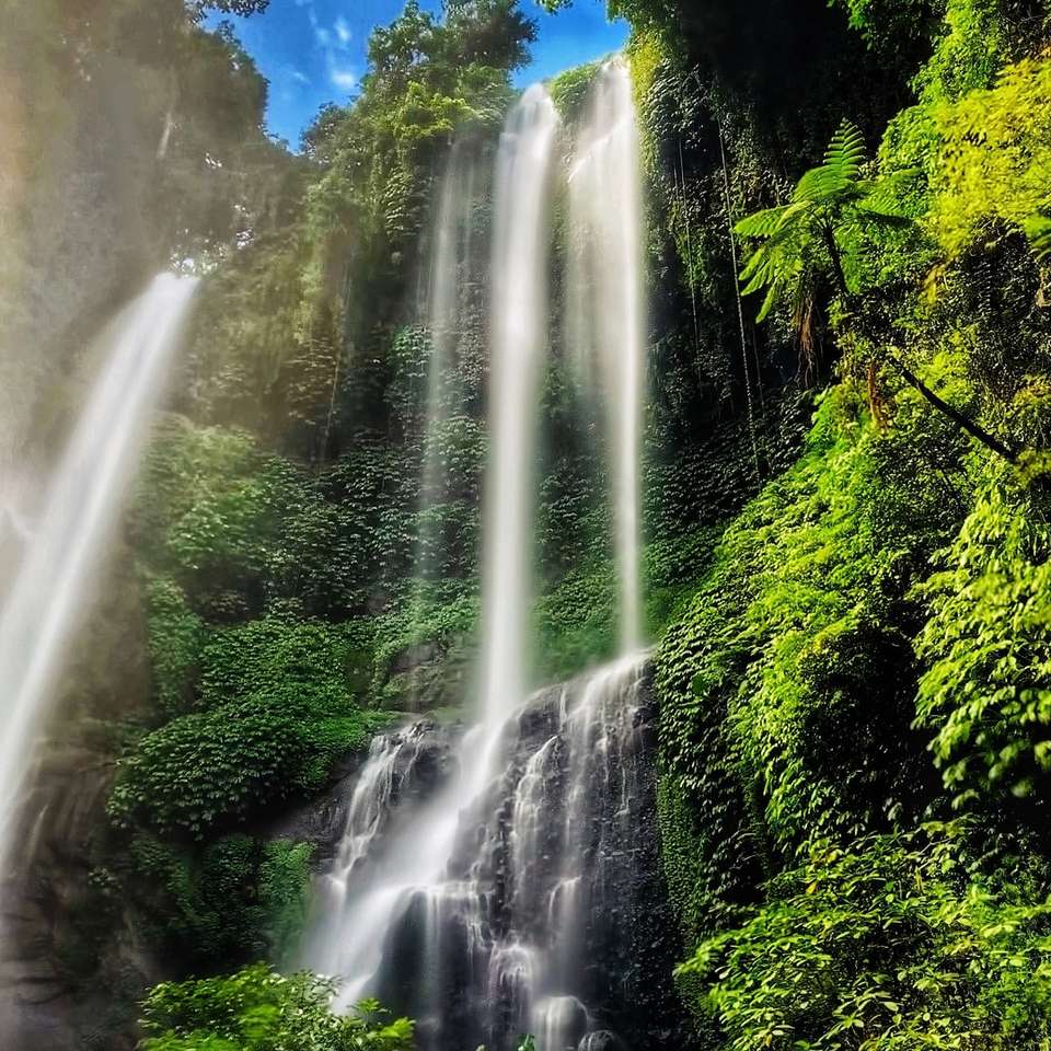 Watervallen in het midden van groene bomen overdag online puzzel