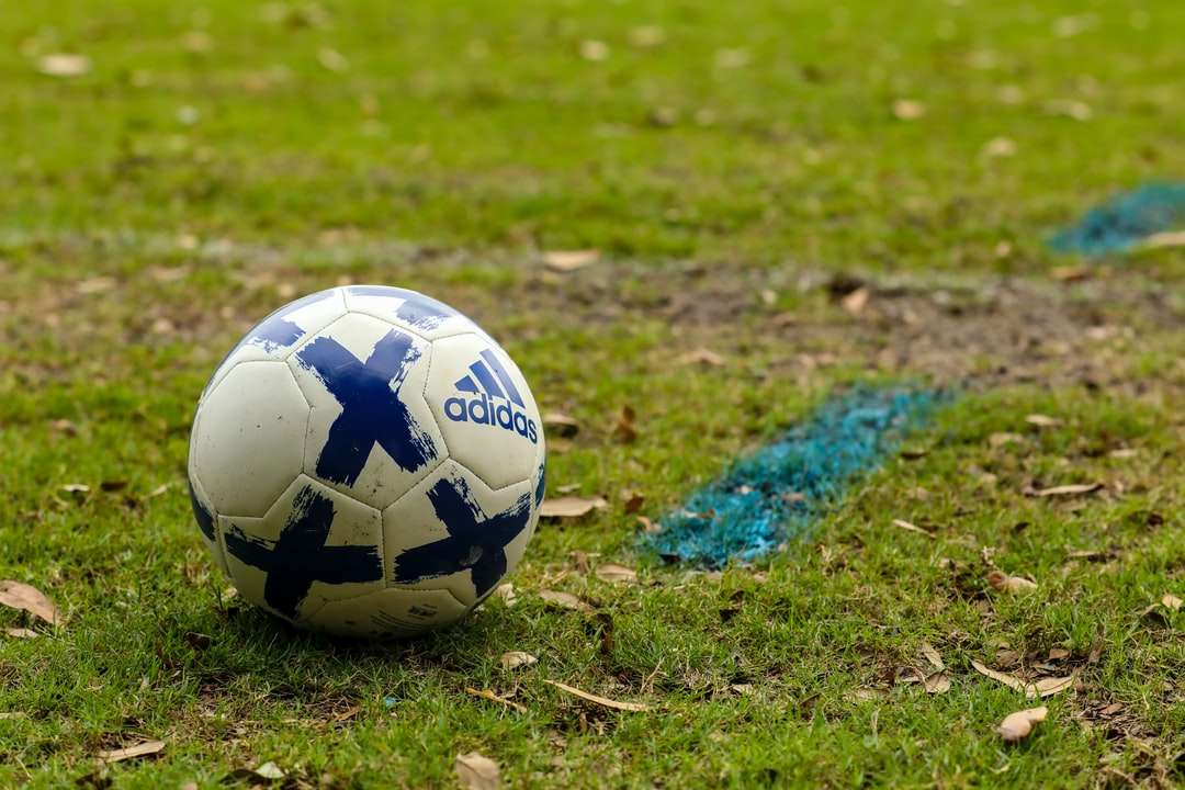 pallone da calcio bianco e blu sul campo di erba verde durante il giorno puzzle online