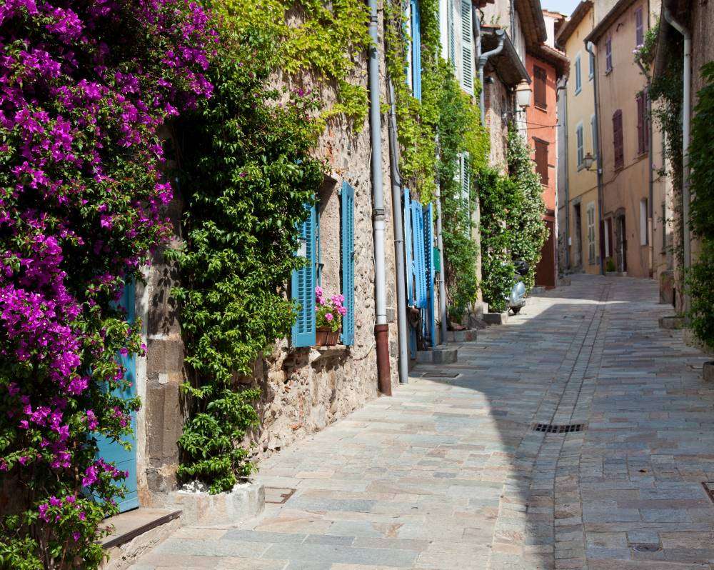 Allee in der Provence. Online-Puzzle