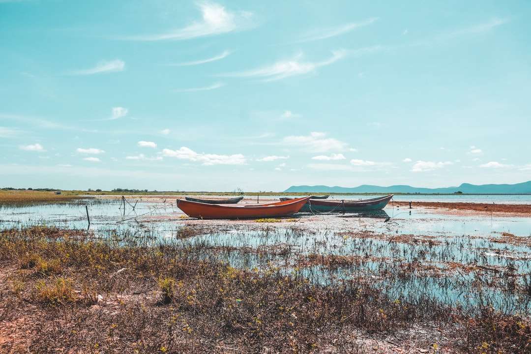 кафява лодка на поле със зелена трева близо до водно тяло онлайн пъзел