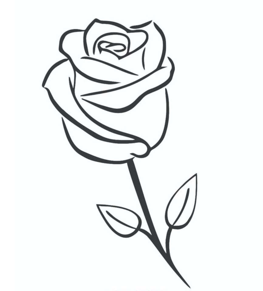 Красивата млада роза онлайн пъзел