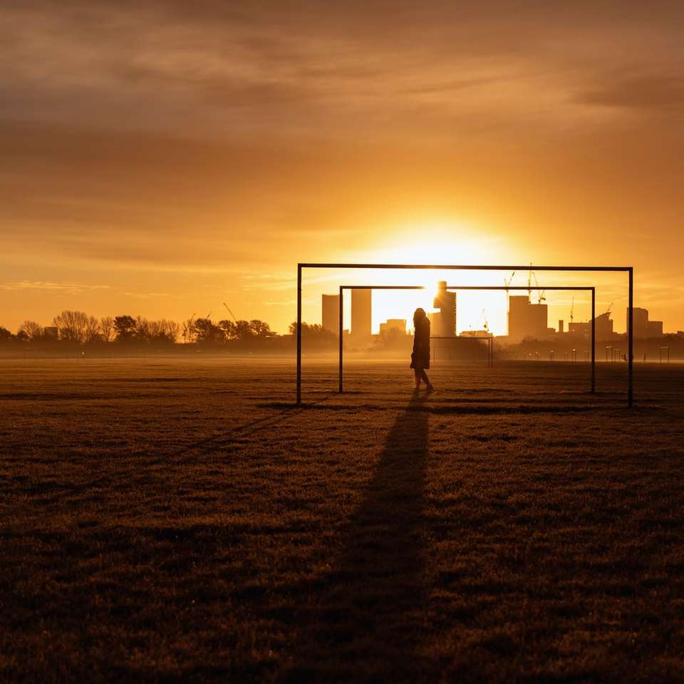 Silueta de la persona de pie en el campo durante la puesta del sol rompecabezas en línea