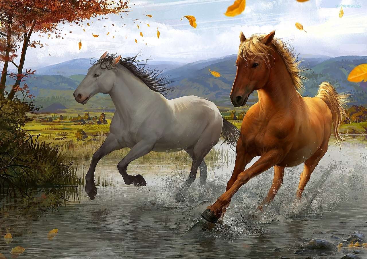 Άλογα στο Gallop online παζλ