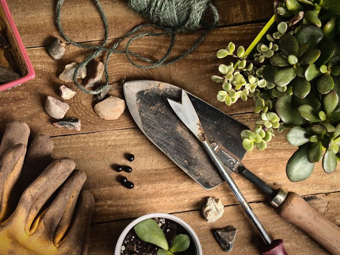 Brun trähanterad kniv bredvid grön växt Pussel online