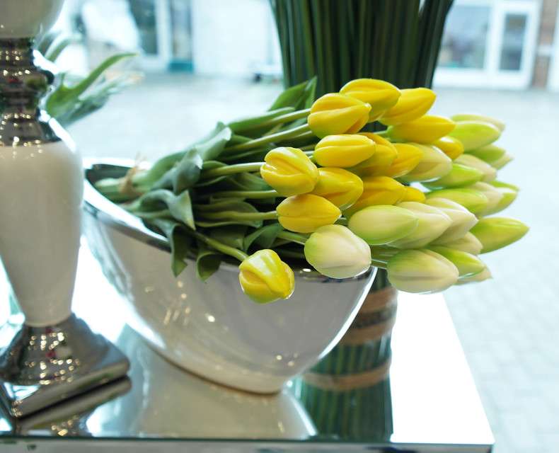 желтые и белые тюльпаны онлайн-пазл