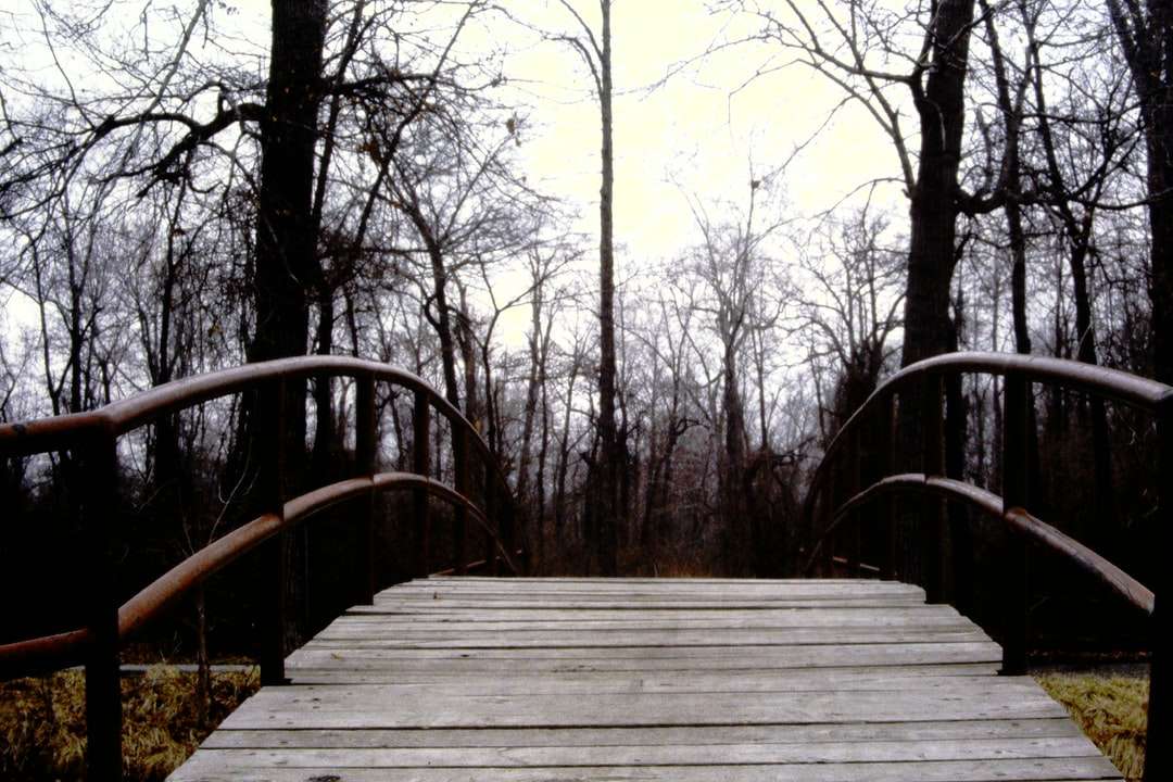 Καφέ ξύλινη γέφυρα ανάμεσα σε δέντρα κατά τη διάρκεια της ημέρας online παζλ