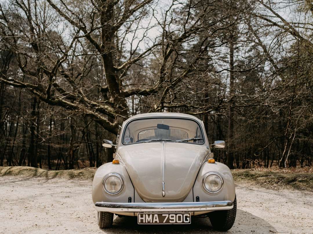 Beige Volkswagen Beetle estacionado na estrada de terra perto de árvores nuas quebra-cabeças online