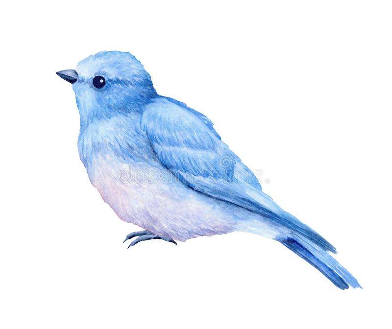 Симпатичная маленькая синяя птичка пазл онлайн