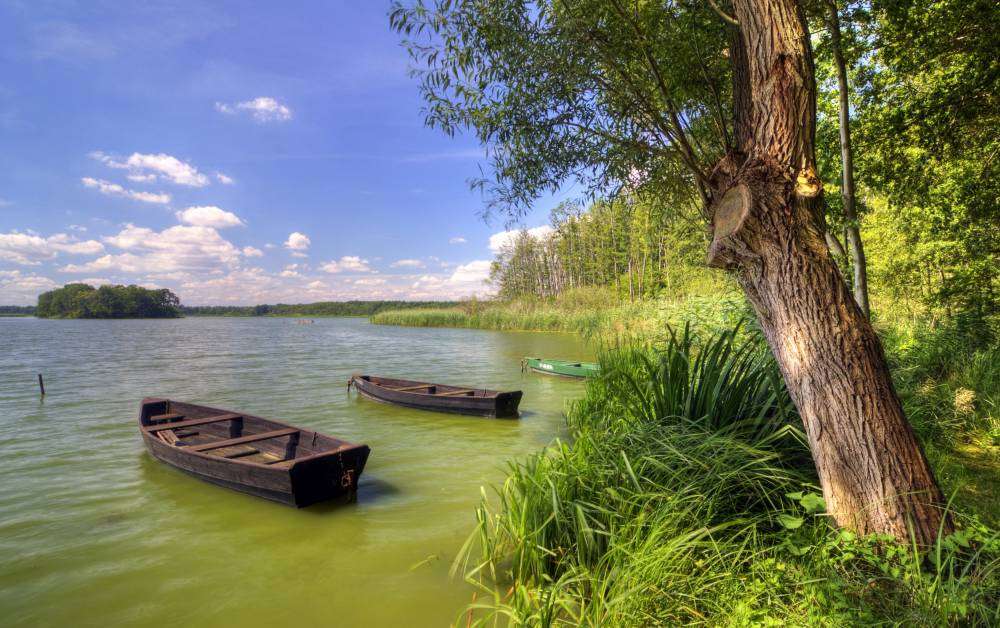 Природа - брега на езерото онлайн пъзел