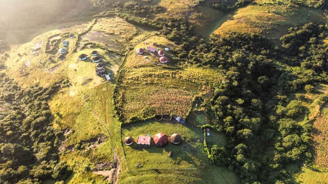 Vedere aeriană a oamenilor pe câmpul de iarbă verde în timpul zilei jigsaw puzzle online